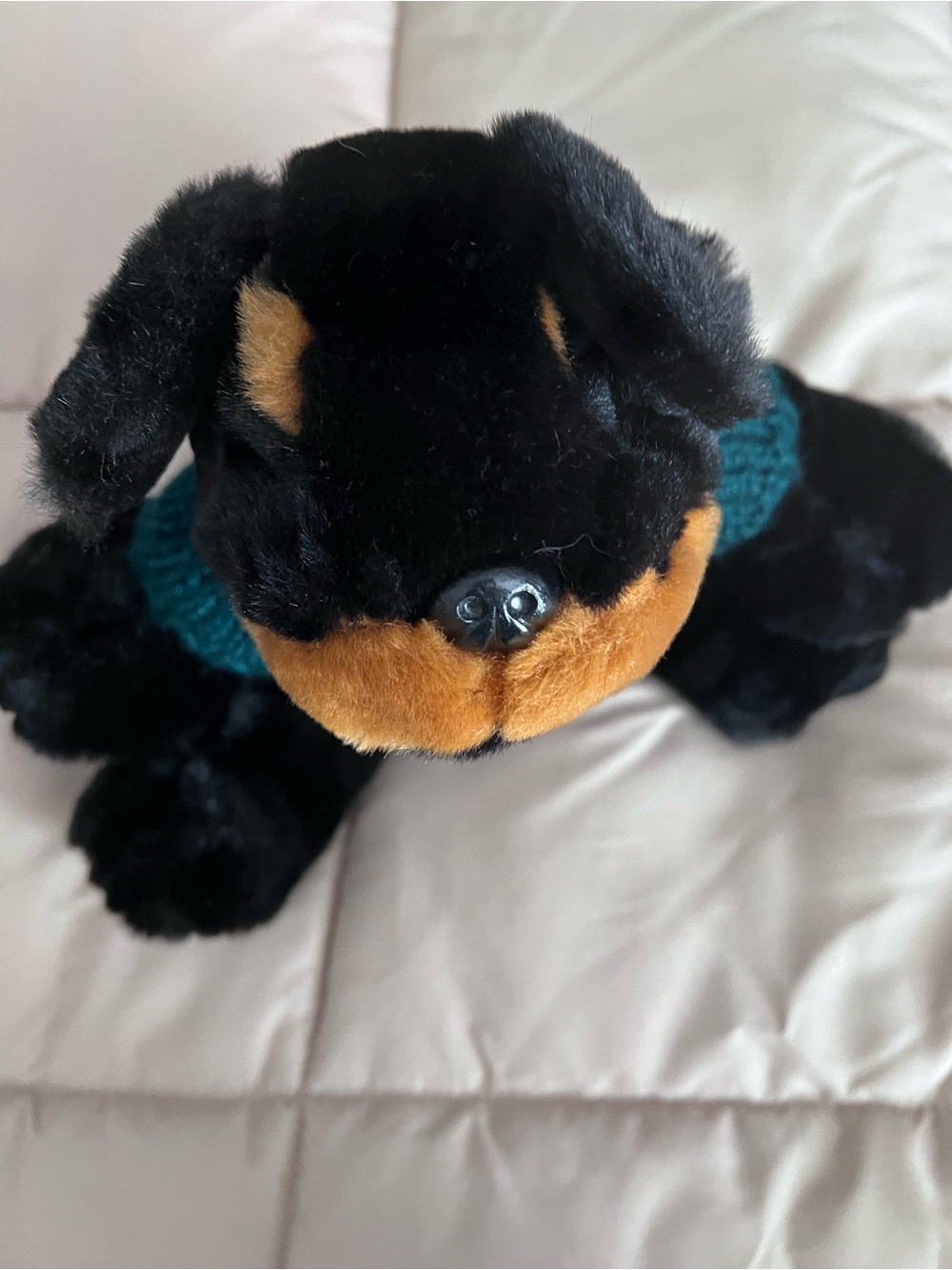 Plush Rottweiler Stuffed Animal with Green 'Frosty' Sweater - Picture 3 of 4